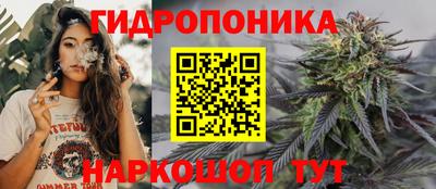 марихуана Камышлов