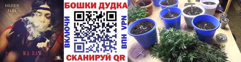 закладка  Кстово  Шишки марихуана индика 